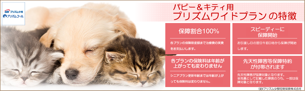 プリズムコール R Sbiプリズム少短のペット保険 ペット保険のnttイフ